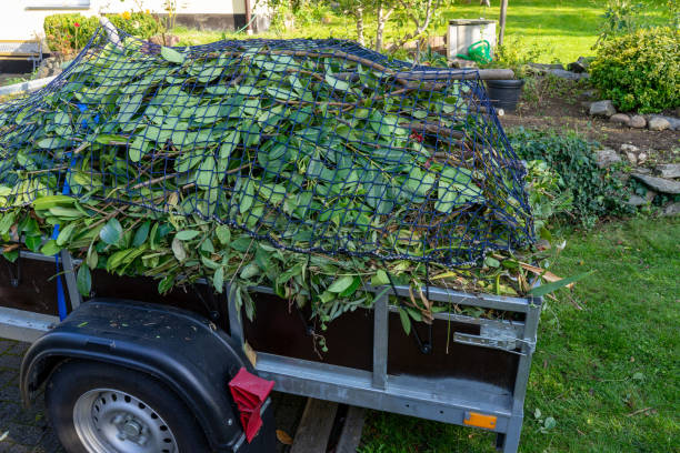 Best Scrap Metal Removal  in Payson, UT